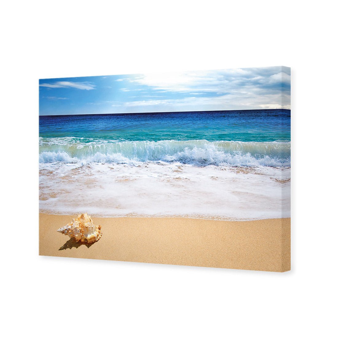 Shell on Beach - Wall Art Designs - 1193_AR_H WAD_CP - MPY - 260 - M - S - S_45x30_NONE