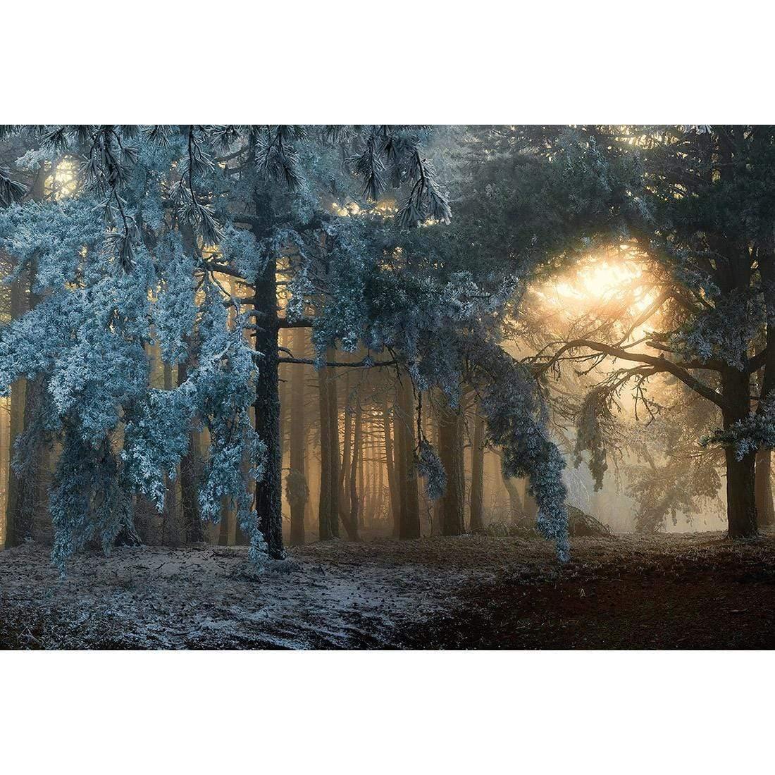 Snowfall Forest - Wall Art Designs - 2989_AR_H WAD_CP - MPY - 260 - M - S - S_45x30_NONE