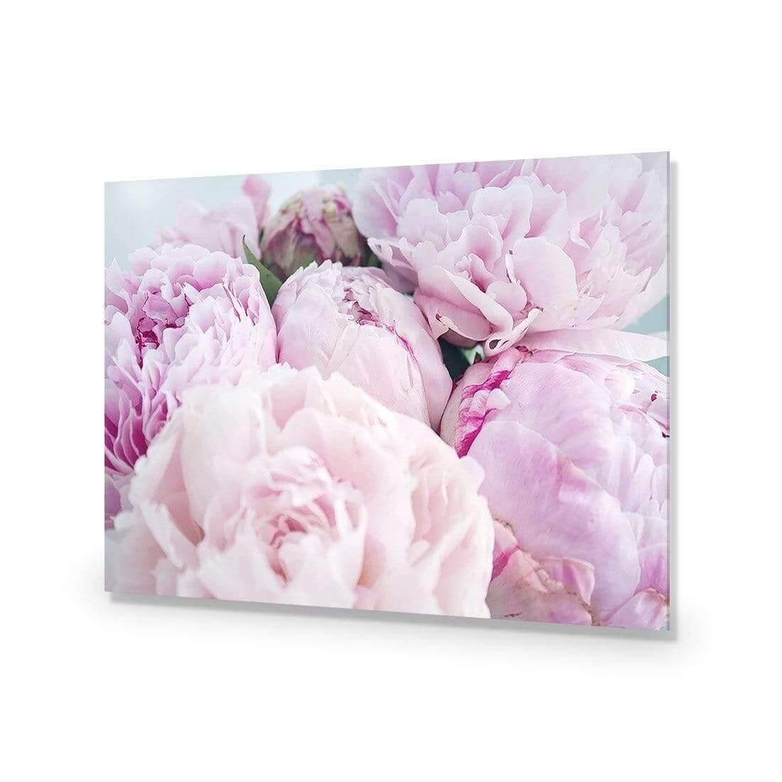 Softness - Wall Art Designs - AU_1114_AR_H WAD_AP - 030 - EDG_45x30_NONE