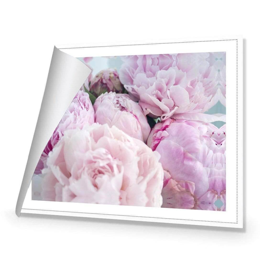 Softness - Wall Art Designs - AU_1114_AR_H WAD_CP - MPY - 260 - M - R_45x30_NONE