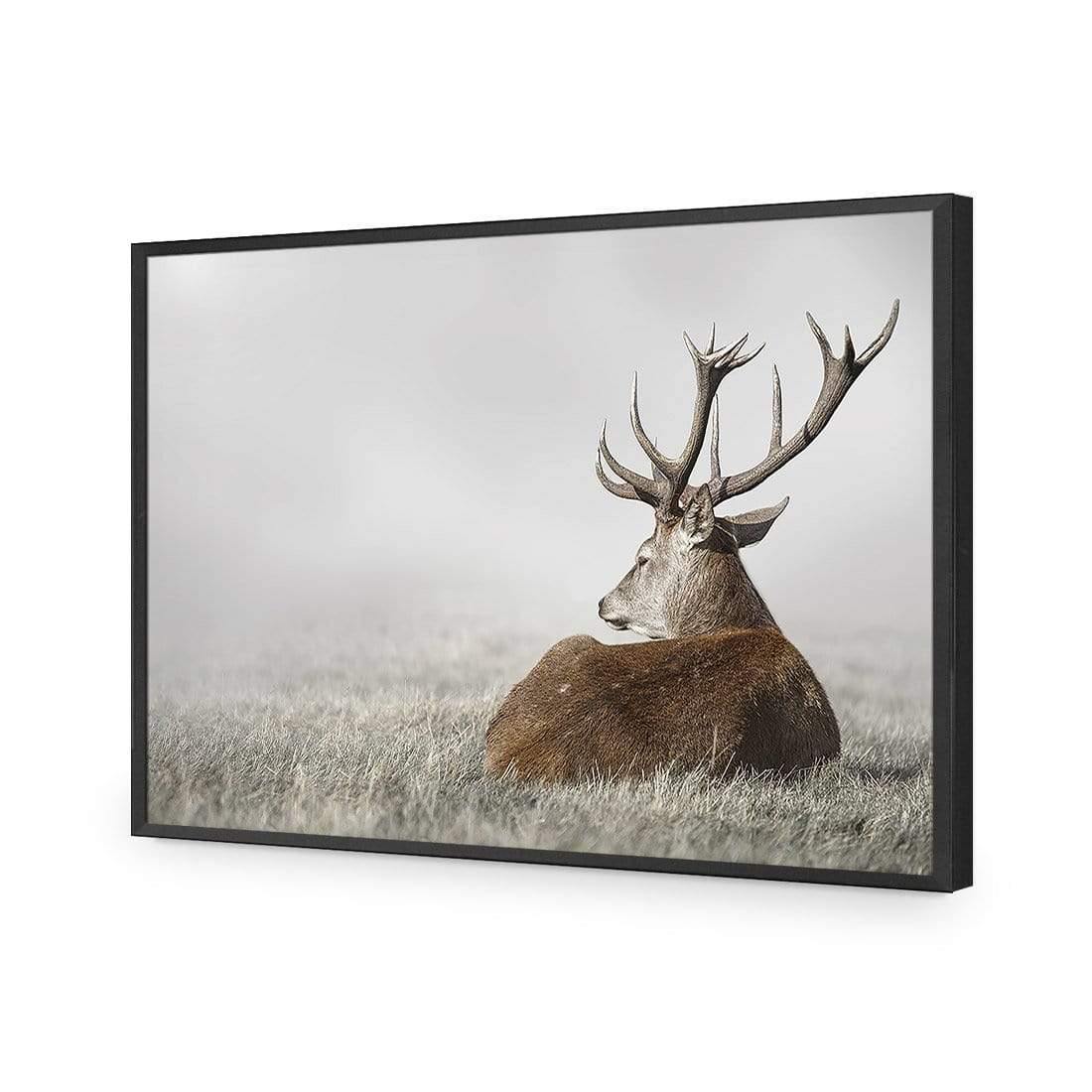 Stag in Lightness - Wall Art Designs - 3752_AR_H WAD_AP - 030 - EDG_45x30_S - 2538 - BLK