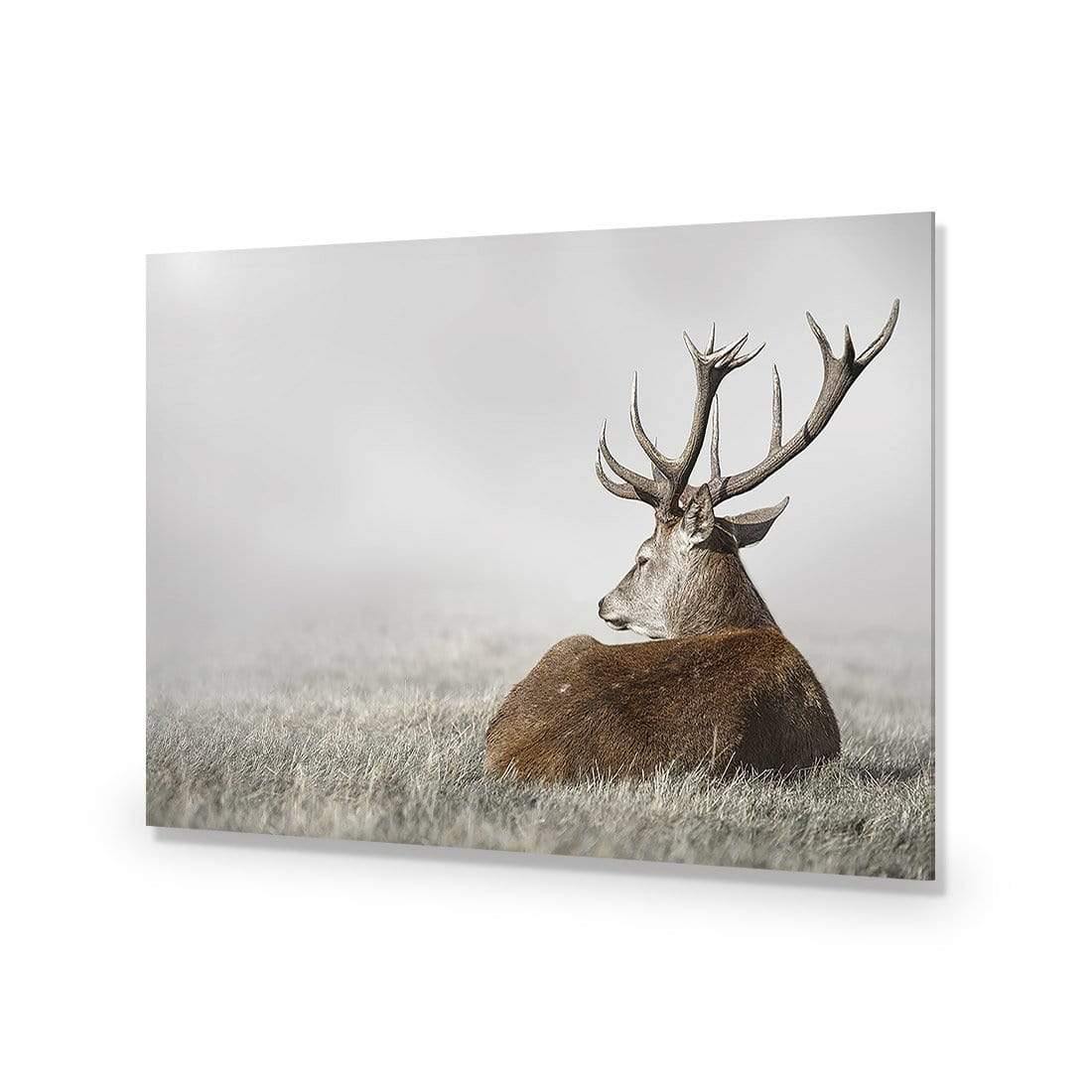 Stag in Lightness - Wall Art Designs - 3752_AR_H WAD_AP - 030 - EDG_45x30_NONE