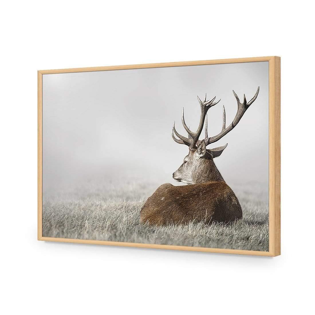 Stag in Lightness - Wall Art Designs - 3752_AR_H WAD_AP - 030 - EDG_45x30_S - 2538 - OAK