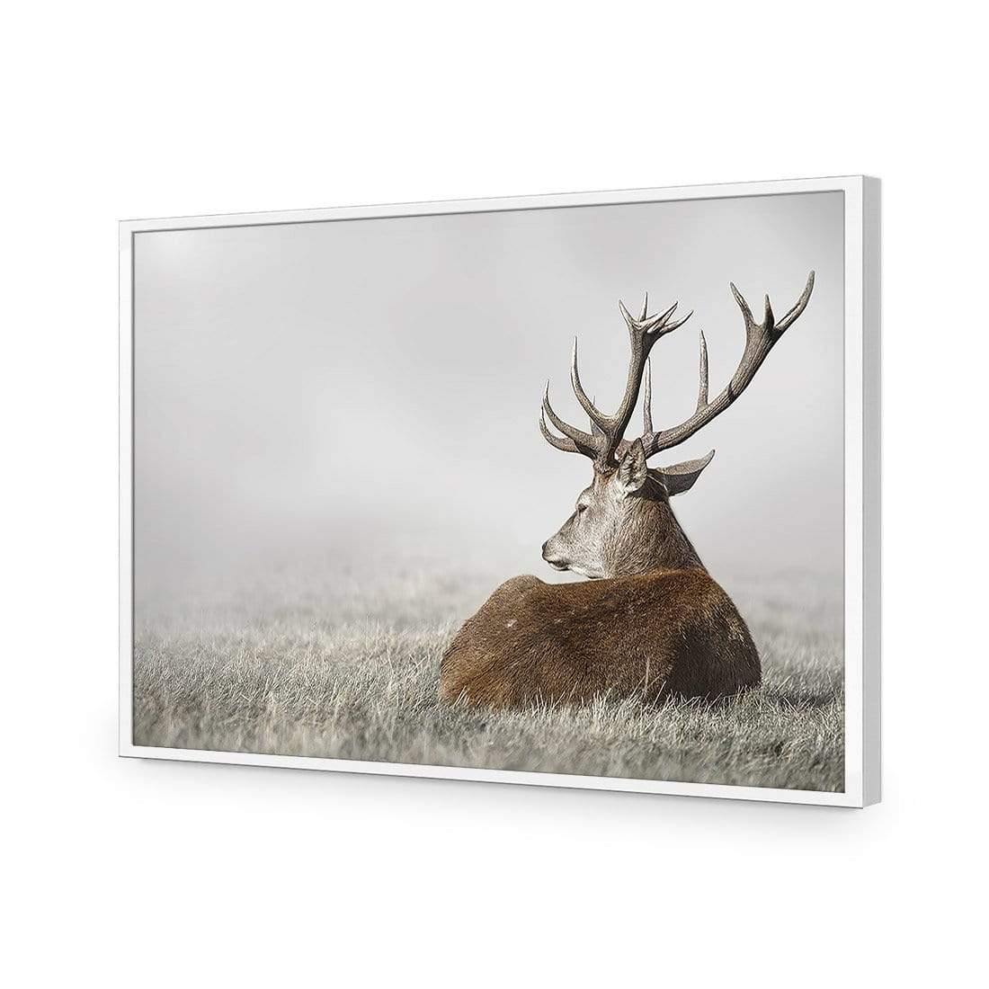 Stag in Lightness - Wall Art Designs - 3752_AR_H WAD_AP - 030 - EDG_45x30_S - 2538 - WHT