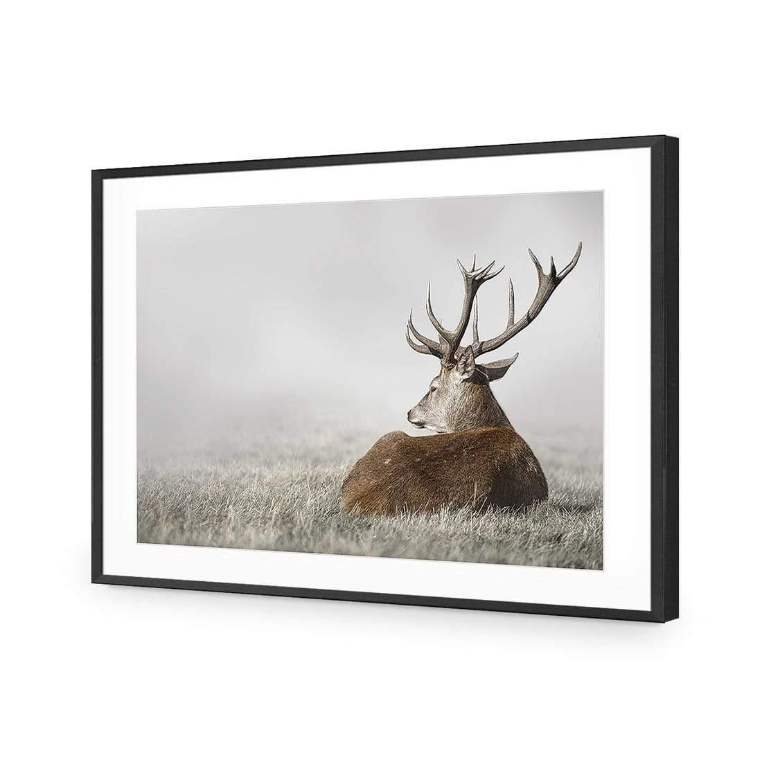 Stag in Lightness - Wall Art Designs - 3752_AR_H WAD_AP - 030 - MAT_45x30_S - 2538 - BLK