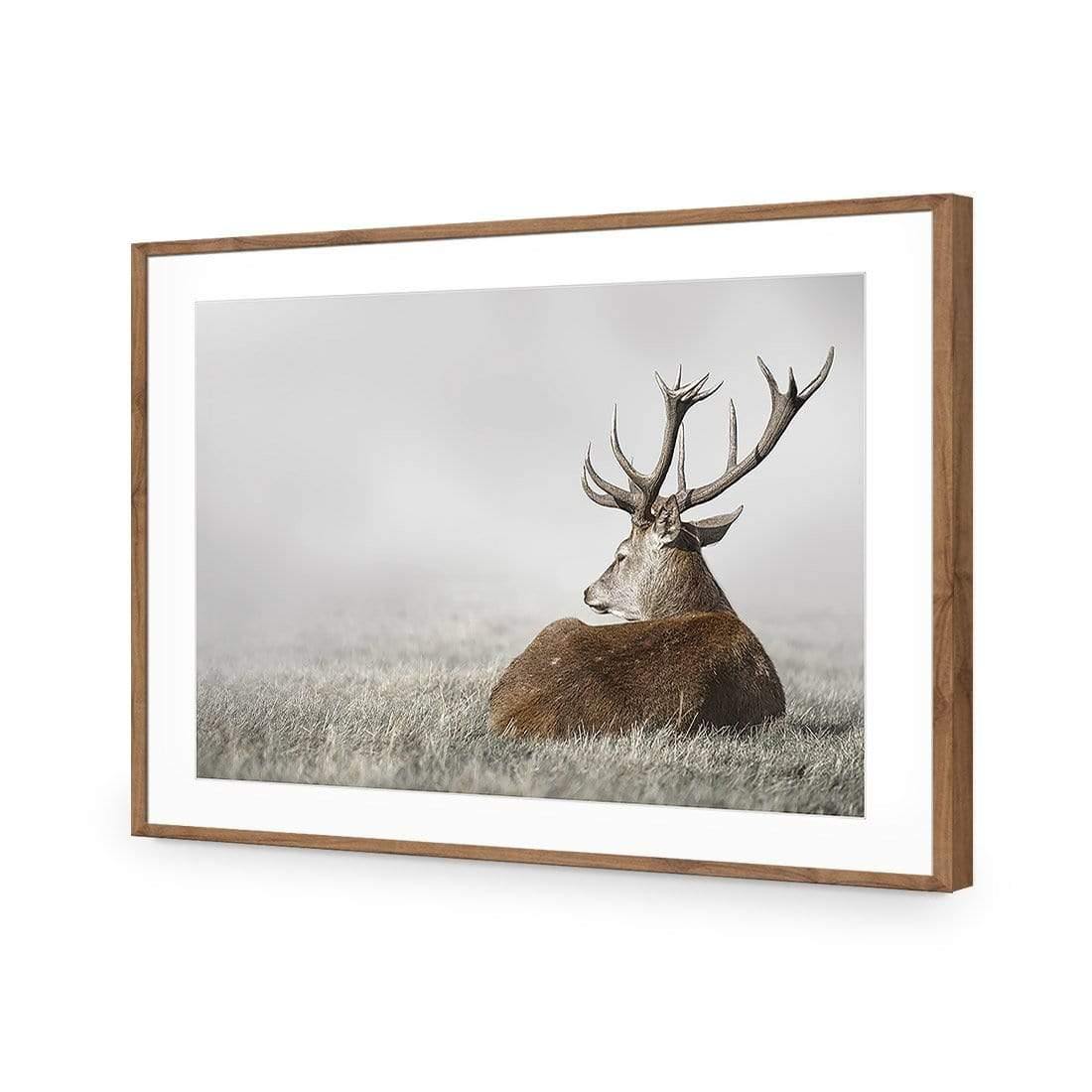 Stag in Lightness - Wall Art Designs - 3752_AR_H WAD_AP - 030 - MAT_45x30_S - 2538 - NAT