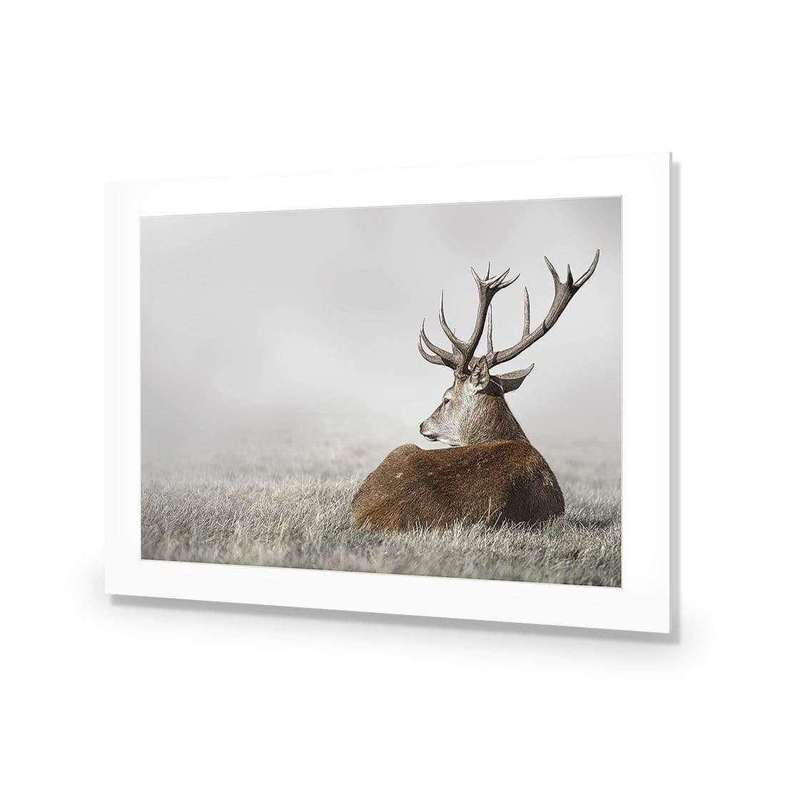 Stag in Lightness - Wall Art Designs - 3752_AR_H WAD_AP - 030 - MAT_45x30_NONE