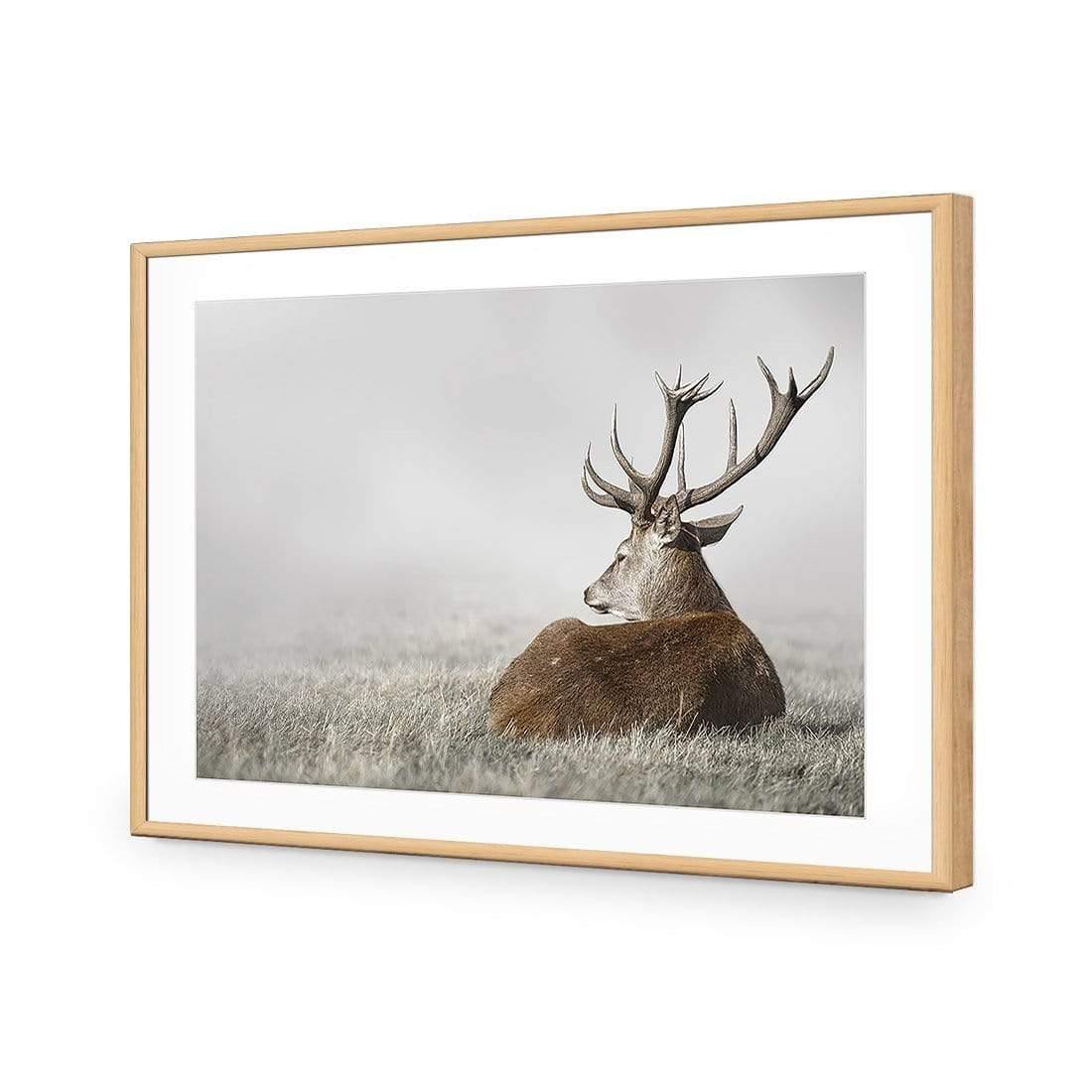 Stag in Lightness - Wall Art Designs - 3752_AR_H WAD_AP - 030 - MAT_45x30_S - 2538 - OAK