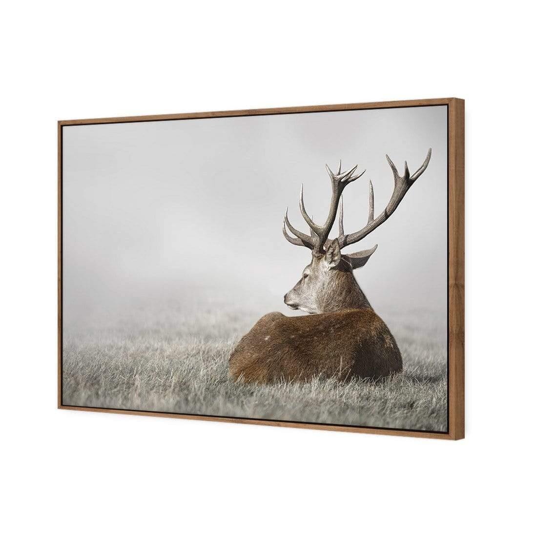 Stag in Lightness - Wall Art Designs - 3752_AR_H WAD_CP - MPY - 260 - M - S - S_45x30_S - 1550 - NAT