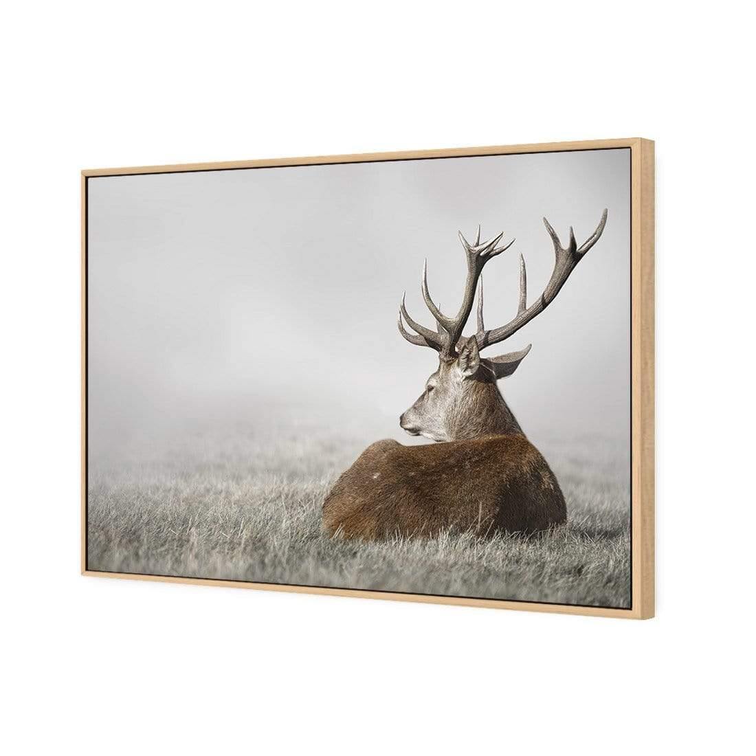 Stag in Lightness - Wall Art Designs - 3752_AR_H WAD_CP - MPY - 260 - M - S - S_45x30_S - 1550 - OAK