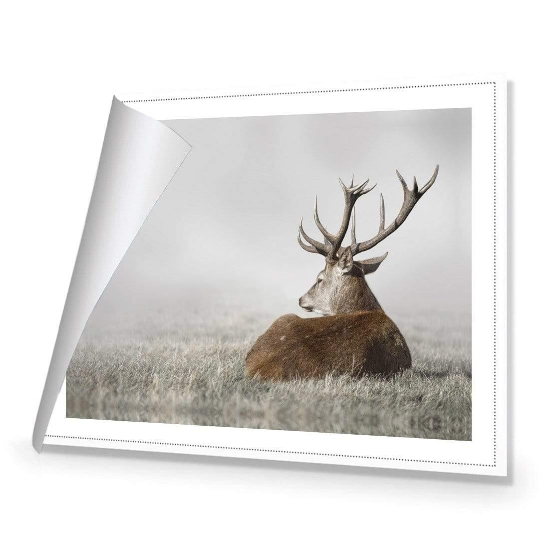 Stag in Lightness - Wall Art Designs - 3752_AR_H WAD_CP - MPY - 260 - M - R_45x30_NONE