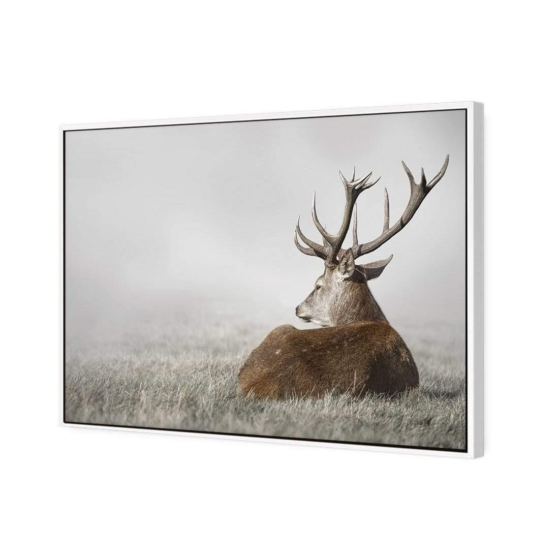 Stag in Lightness - Wall Art Designs - 3752_AR_H WAD_CP - MPY - 260 - M - S - S_45x30_S - 1550 - WHT