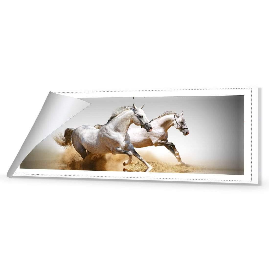 Stallions in the Dust (long) - Wall Art Designs - 461_AL_H WAD_CP - MPY - 260 - M - R_60x20_NONE