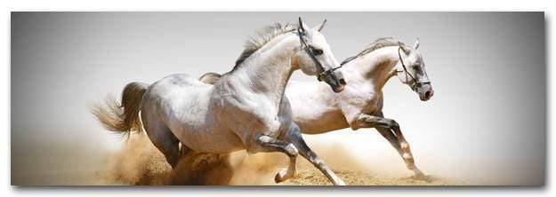 Stallions in the Dust (long) - Wall Art Designs - 461_AL_H WAD_CP - MPY - 260 - M - S - S_60x20_NONE