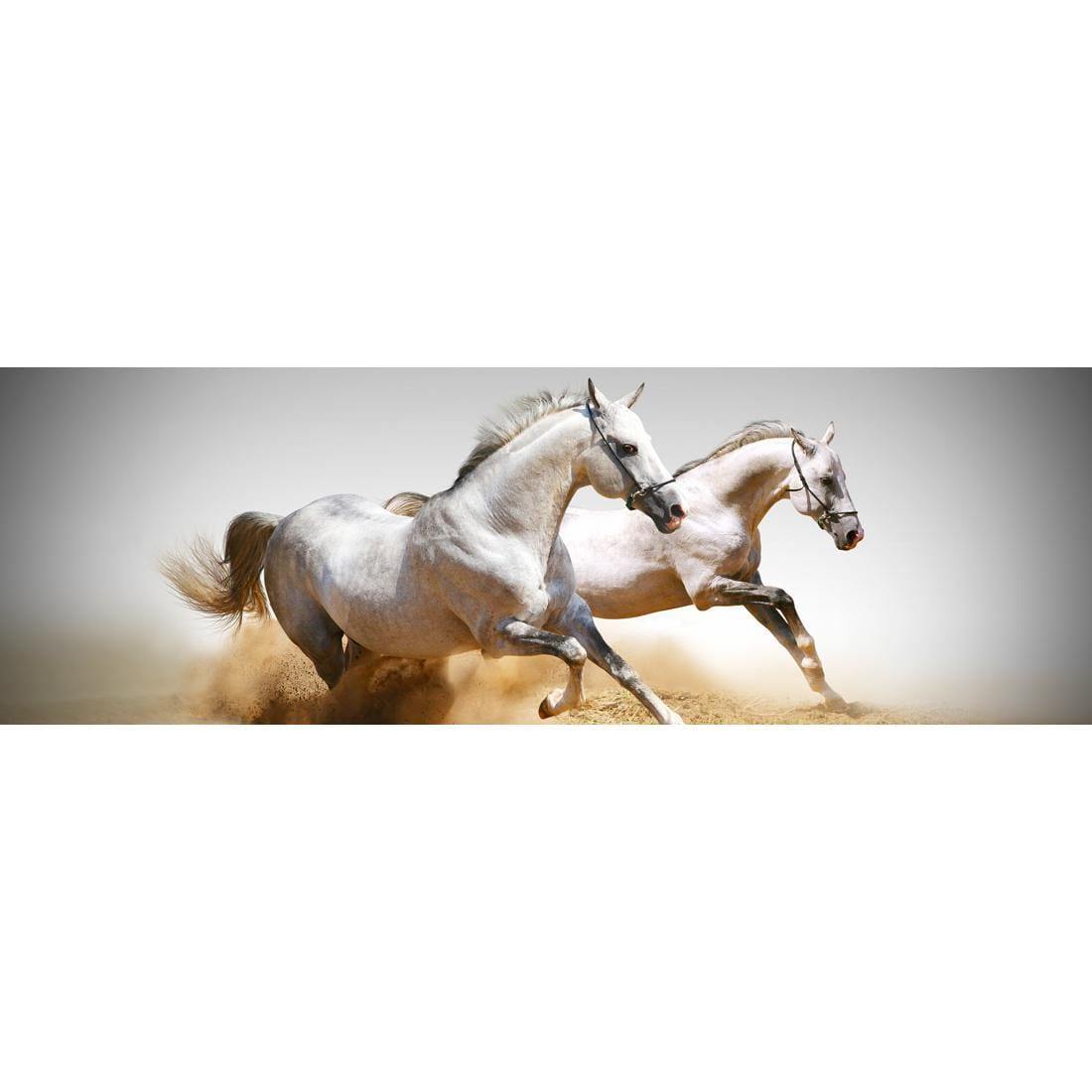 Stallions in the Dust (long) - Wall Art Designs - 461_AL_H WAD_CP - MPY - 260 - M - S - S_60x20_NONE