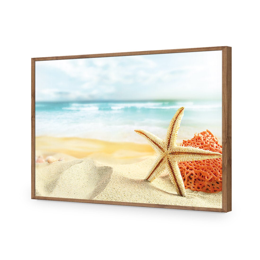 Starfish and Coral on Beach - Wall Art Designs - 1233_AR_H WAD_AP - 030 - EDG_45x30_S - 2538 - NAT