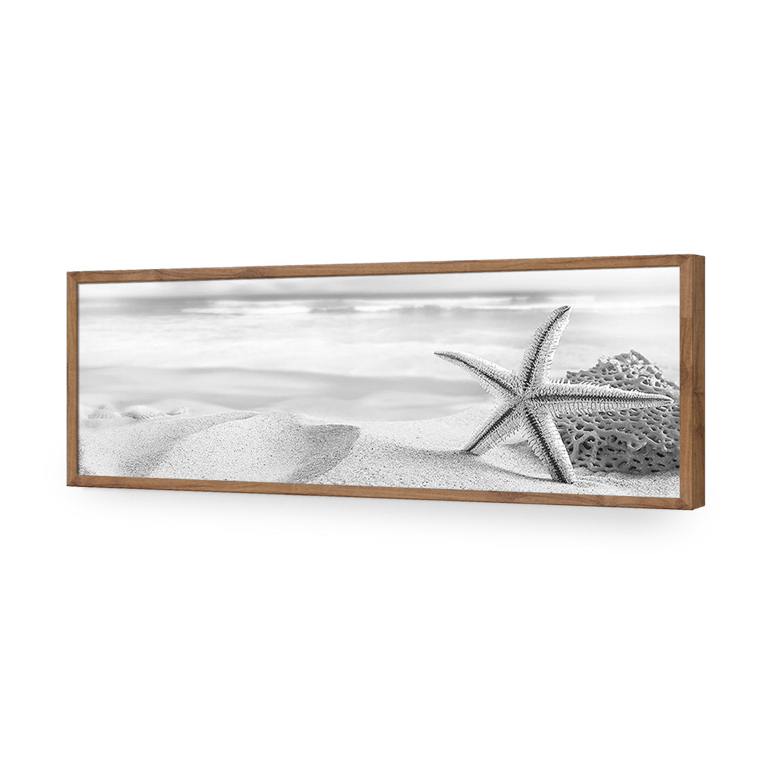 Starfish and Coral on Beach, Black and White (Long) - Wall Art Designs - 1233_BL_H WAD_AP - 030 - EDG_90x30_S - 2538 - NAT