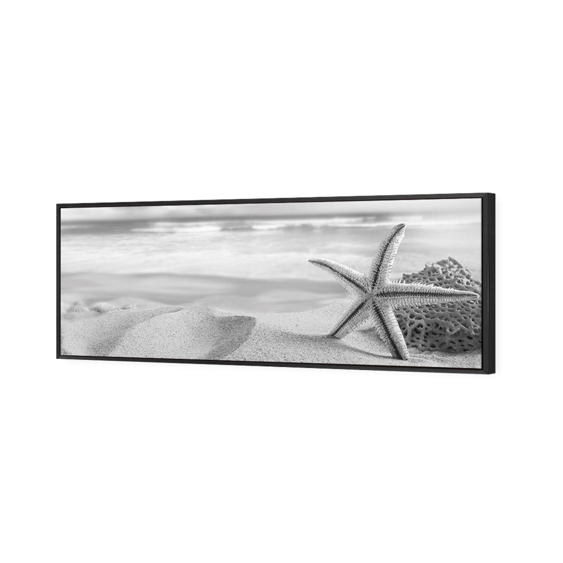 Starfish and Coral on Beach, Black and White (Long) - Wall Art Designs - 1233_BL_H WAD_CP - MPY - 260 - M - S - S_60x20_S - 1550 - BLK