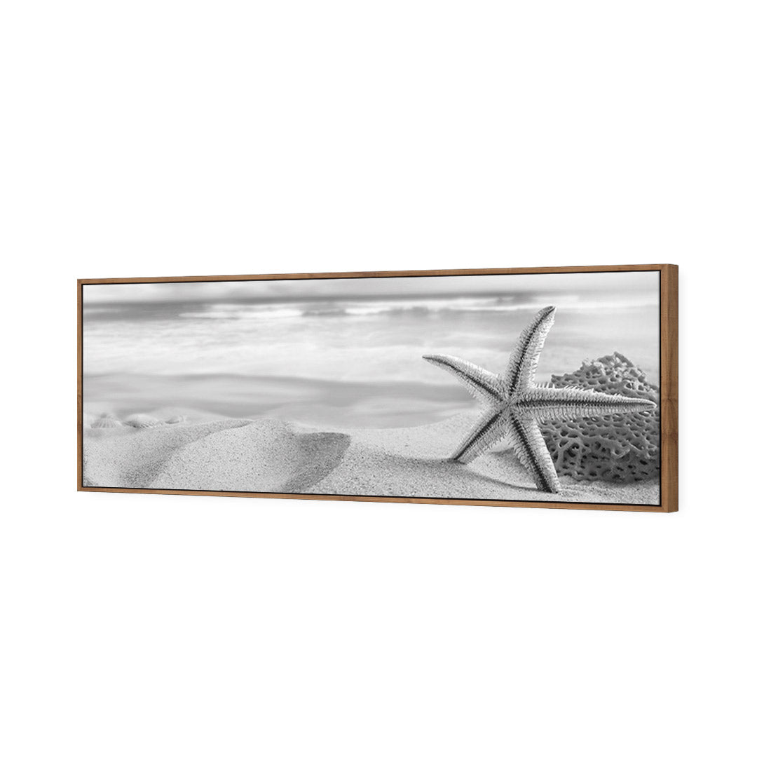 Starfish and Coral on Beach, Black and White (Long) - Wall Art Designs - 1233_BL_H WAD_CP - MPY - 260 - M - S - S_60x20_S - 1550 - NAT