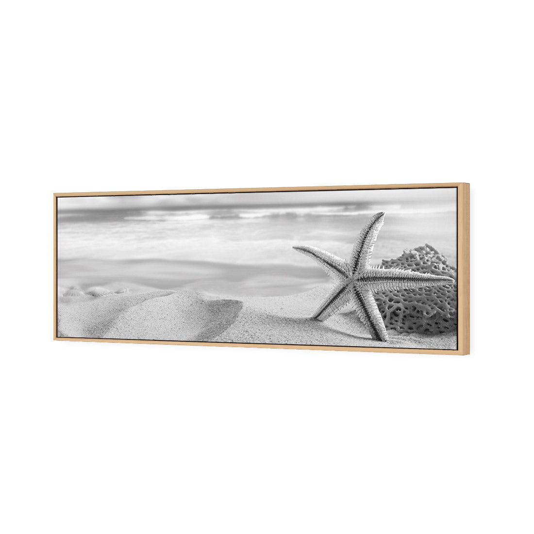 Starfish and Coral on Beach, Black and White (Long) - Wall Art Designs - 1233_BL_H WAD_CP - MPY - 260 - M - S - S_60x20_S - 1550 - OAK