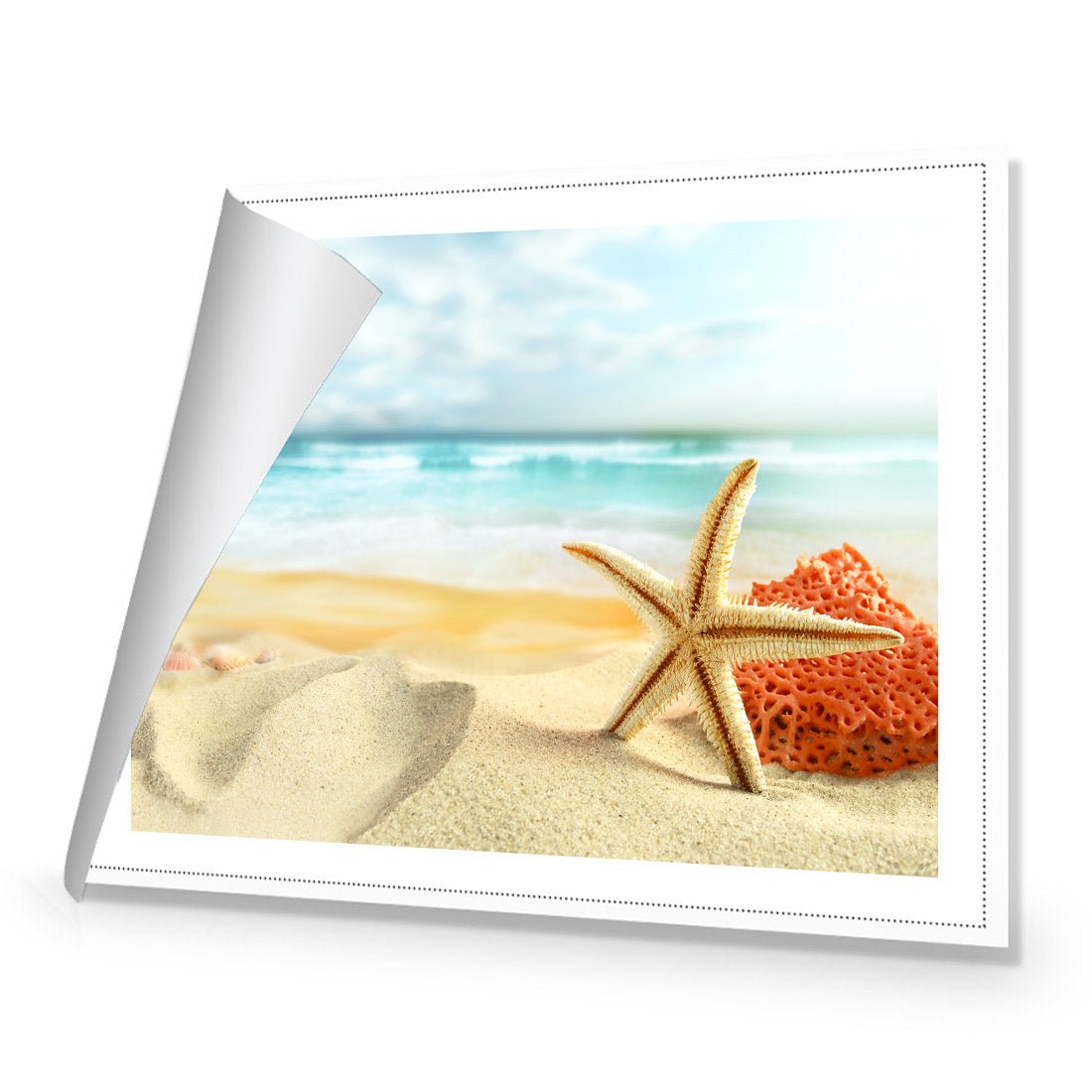 Starfish and Coral on Beach - Wall Art Designs - 1233_AR_H WAD_CP - MPY - 260 - M - R_45x30_NONE