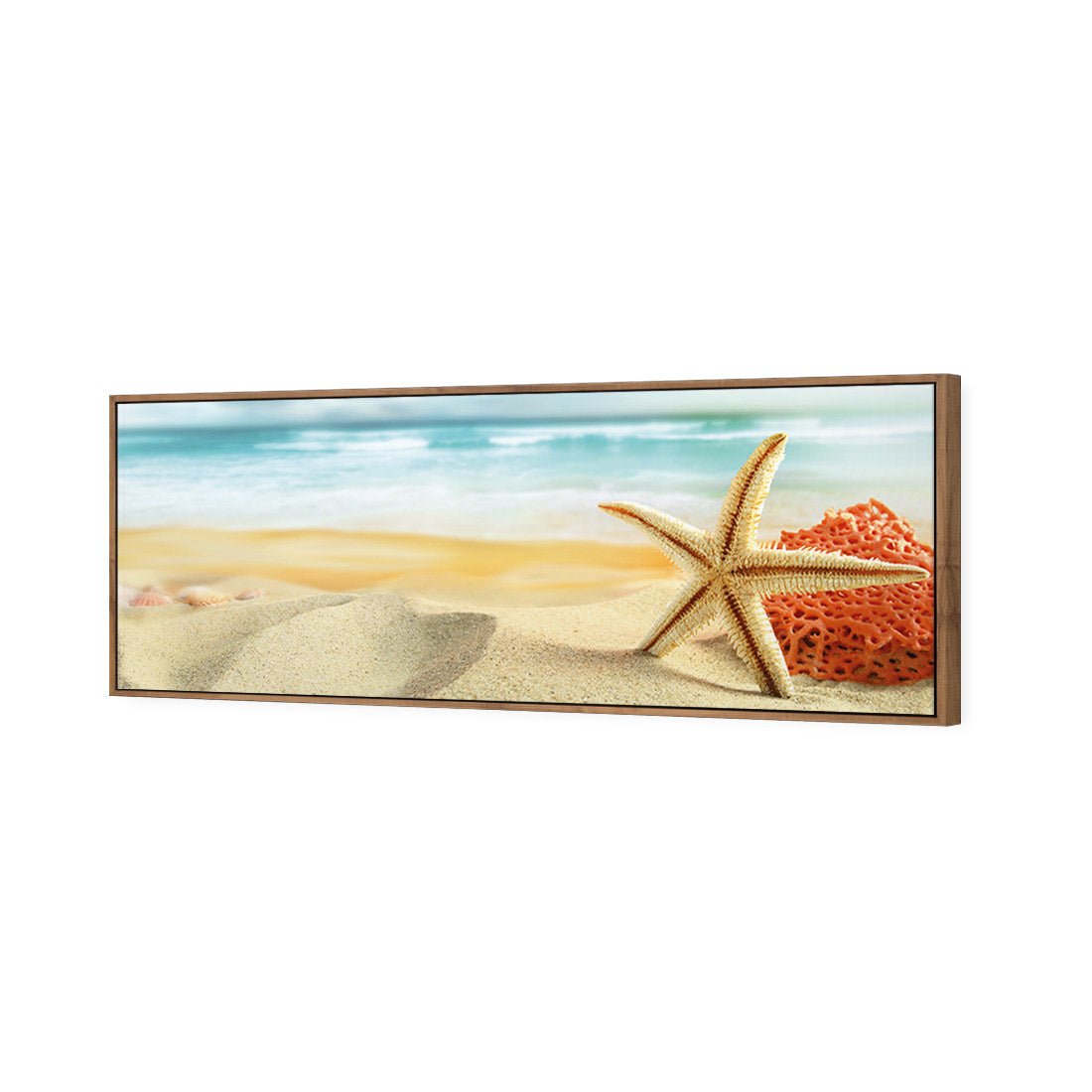 Starfish and Coral on Beach (Long) - Wall Art Designs - 1233_AL_H WAD_CP - MPY - 260 - M - S - S_60x20_S - 1550 - NAT