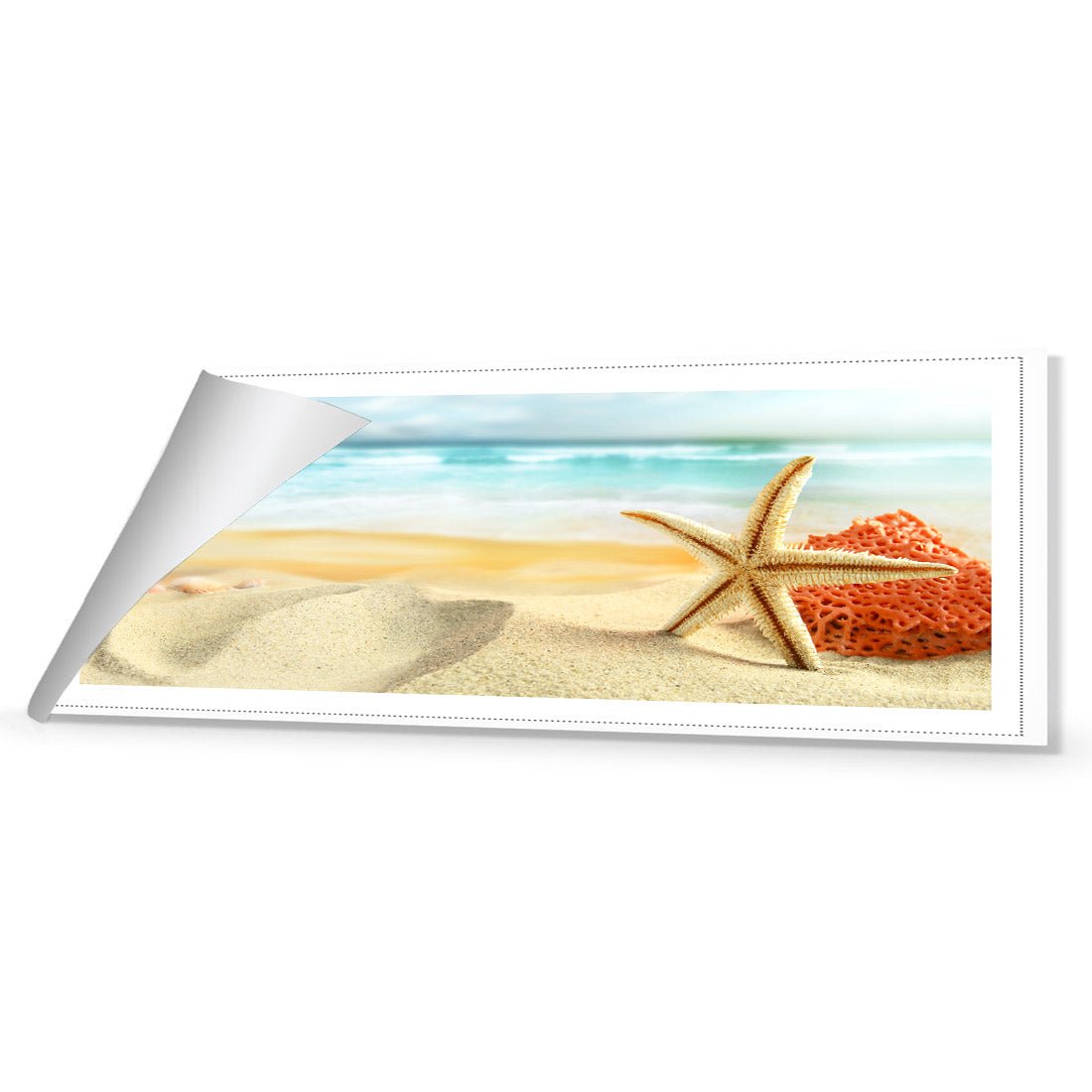 Starfish and Coral on Beach (Long) - Wall Art Designs - 1233_AL_H WAD_CP - MPY - 260 - M - R_60x20_NONE