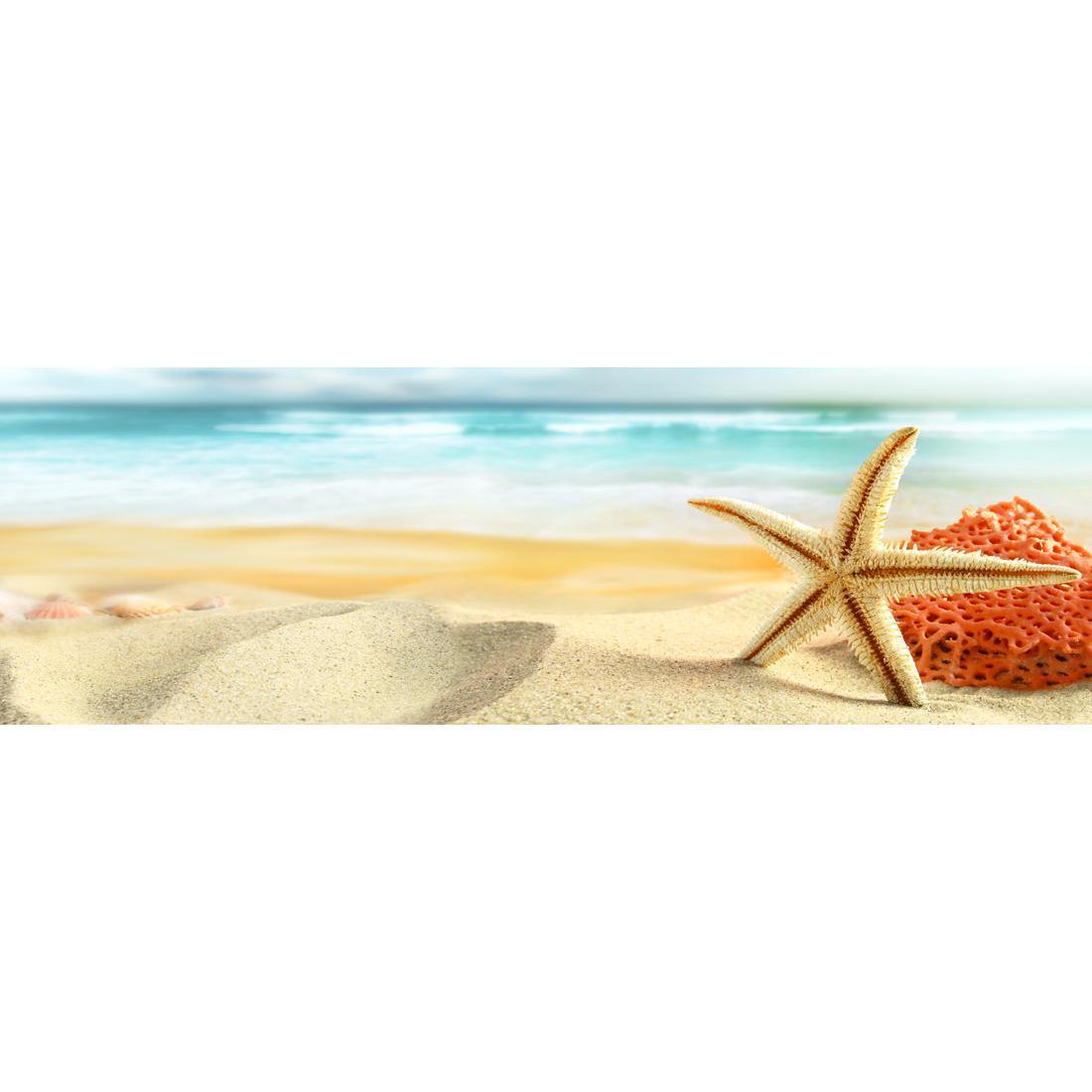 Starfish and Coral on Beach (Long) - Wall Art Designs - 1233_AL_H WAD_CP - MPY - 260 - M - S - S_60x20_NONE