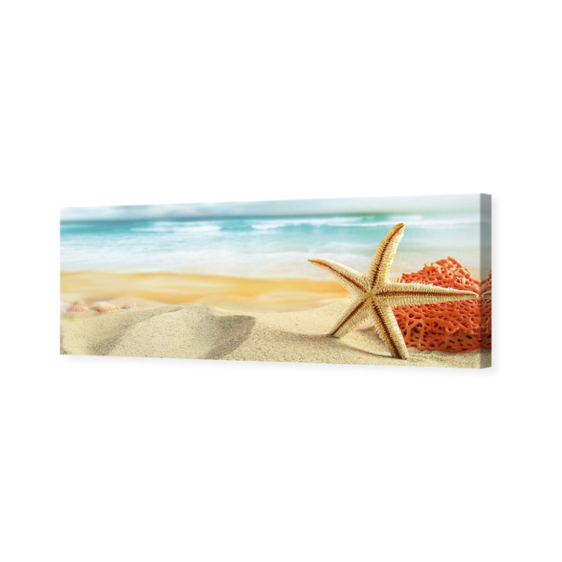 Starfish and Coral on Beach (Long) - Wall Art Designs - 1233_AL_H WAD_CP - MPY - 260 - M - S - S_60x20_NONE