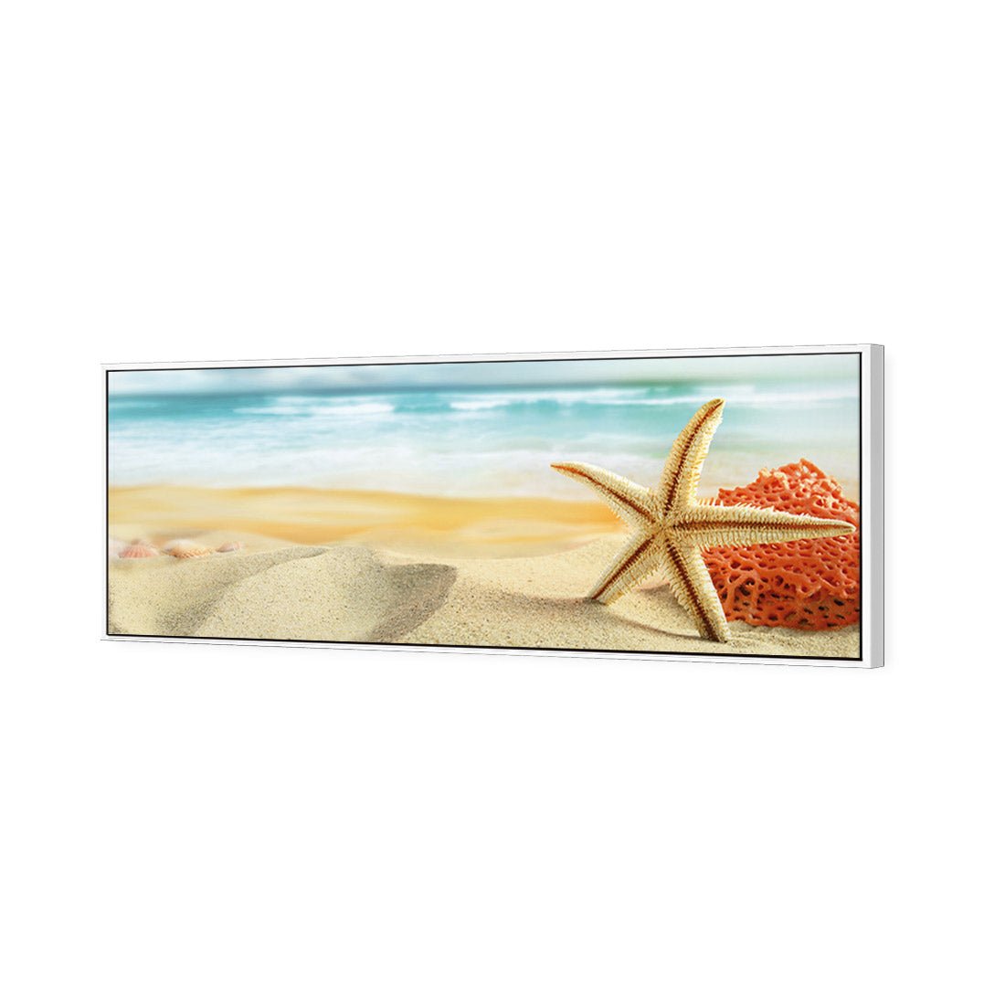 Starfish and Coral on Beach (Long) - Wall Art Designs - 1233_AL_H WAD_CP - MPY - 260 - M - S - S_60x20_S - 1550 - WHT