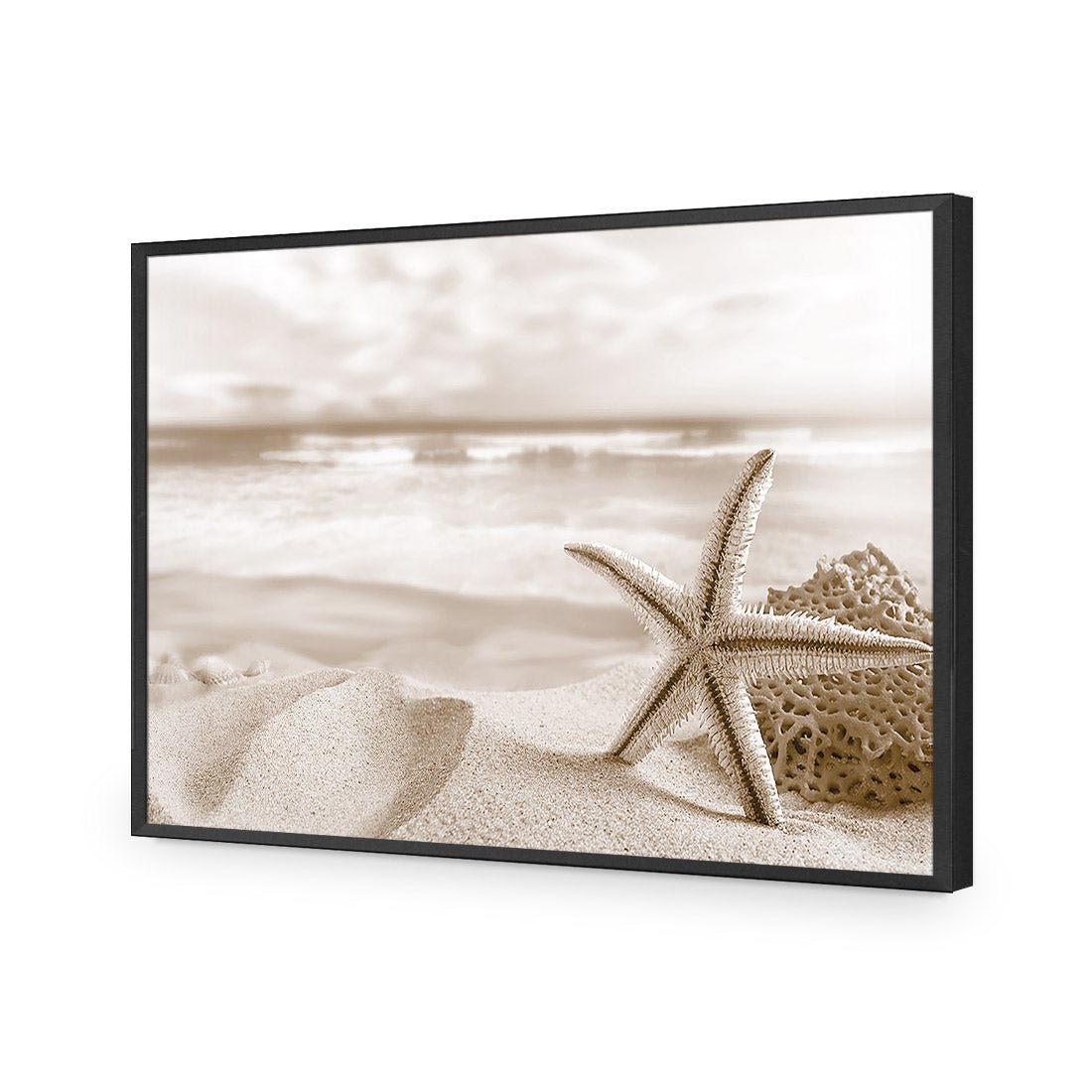 Starfish and Coral on Beach, Sepia - Wall Art Designs - 1233_CR_H WAD_AP - 030 - EDG_45x30_S - 2538 - BLK