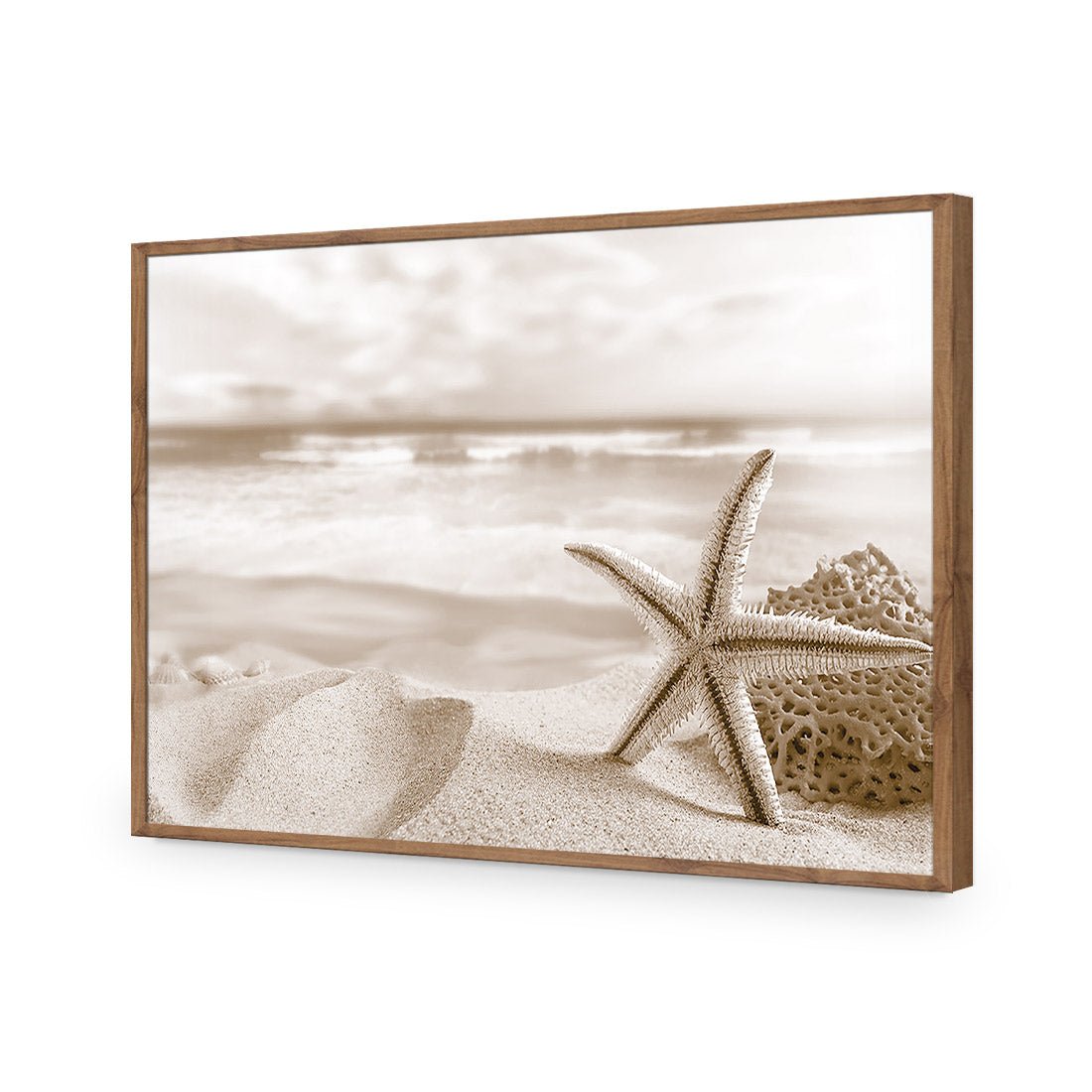 Starfish and Coral on Beach, Sepia - Wall Art Designs - 1233_CR_H WAD_AP - 030 - EDG_45x30_S - 2538 - NAT