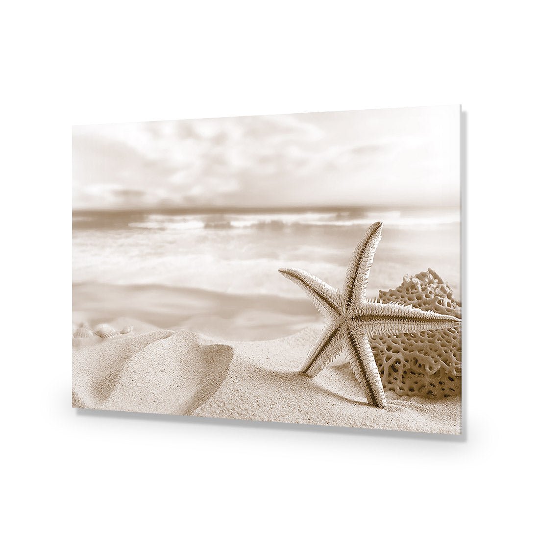 Starfish and Coral on Beach, Sepia - Wall Art Designs - 1233_CR_H WAD_AP - 030 - EDG_45x30_NONE