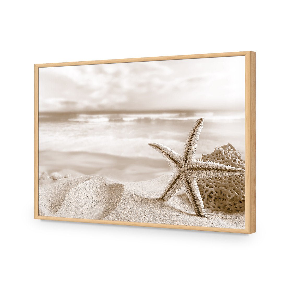 Starfish and Coral on Beach, Sepia - Wall Art Designs - 1233_CR_H WAD_AP - 030 - EDG_45x30_S - 2538 - OAK