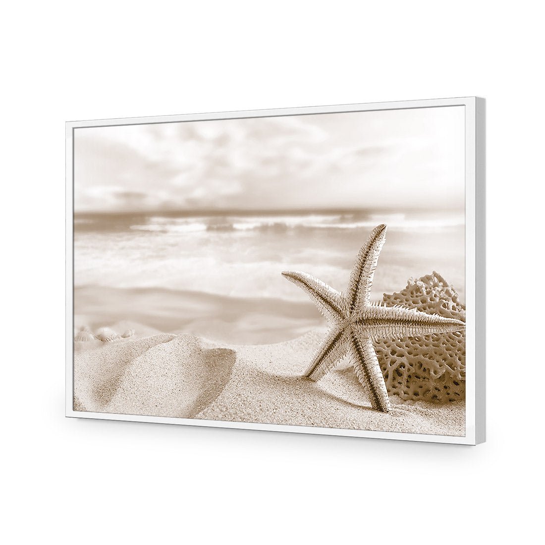 Starfish and Coral on Beach, Sepia - Wall Art Designs - 1233_CR_H WAD_AP - 030 - EDG_45x30_S - 2538 - WHT