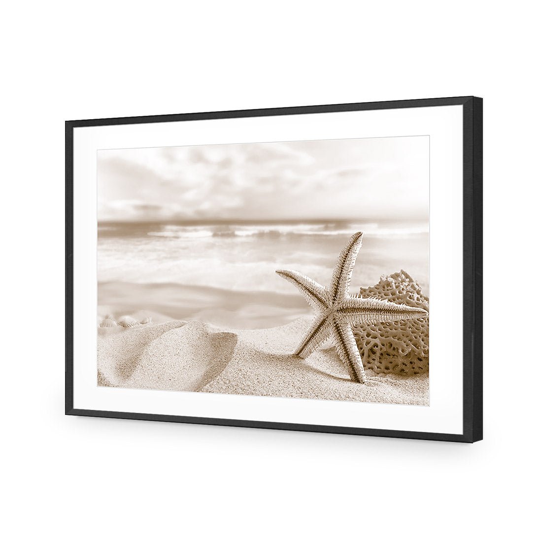 Starfish and Coral on Beach, Sepia - Wall Art Designs - 1233_CR_H WAD_AP - 030 - MAT_45x30_S - 2538 - BLK