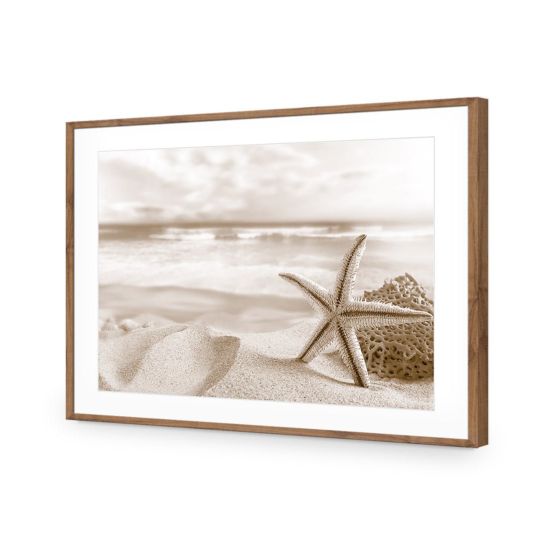 Starfish and Coral on Beach, Sepia - Wall Art Designs - 1233_CR_H WAD_AP - 030 - MAT_45x30_S - 2538 - NAT