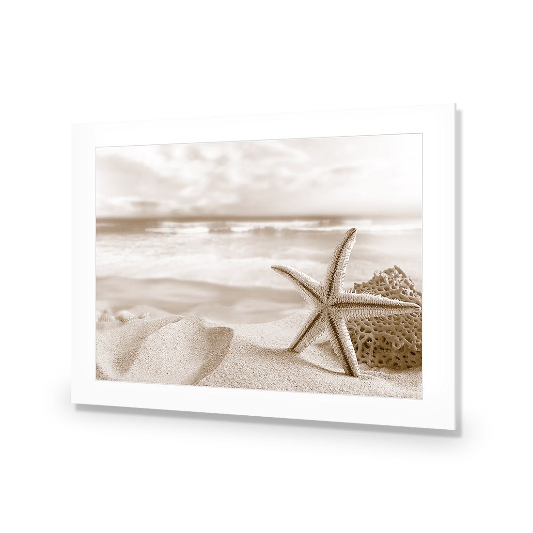 Starfish and Coral on Beach, Sepia - Wall Art Designs - 1233_CR_H WAD_AP - 030 - MAT_45x30_NONE