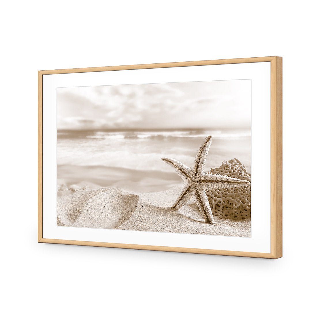 Starfish and Coral on Beach, Sepia - Wall Art Designs - 1233_CR_H WAD_AP - 030 - MAT_45x30_S - 2538 - OAK