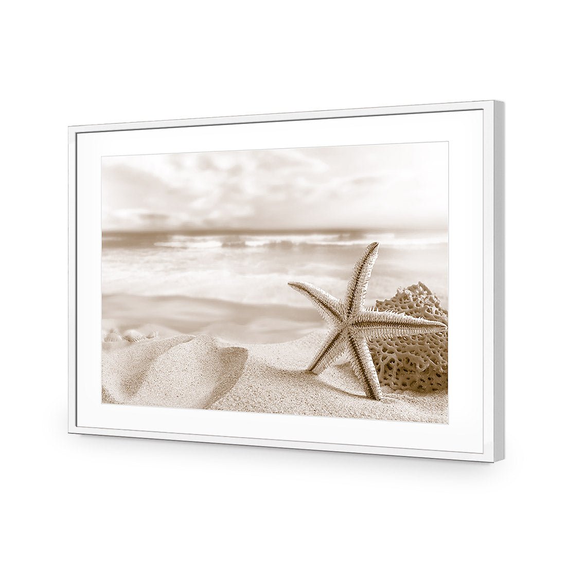 Starfish and Coral on Beach, Sepia - Wall Art Designs - 1233_CR_H WAD_AP - 030 - MAT_45x30_S - 2538 - WHT