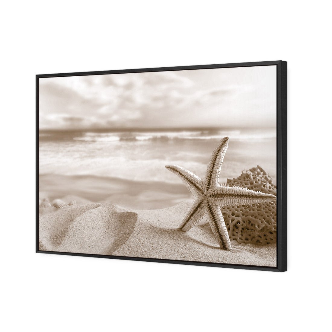 Starfish and Coral on Beach, Sepia - Wall Art Designs - 1233_CR_H WAD_CP - MPY - 260 - M - S - S_45x30_S - 1550 - BLK