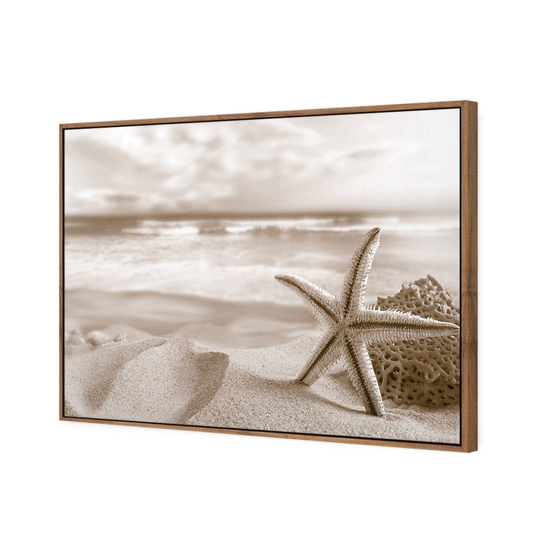 Starfish and Coral on Beach, Sepia - Wall Art Designs - 1233_CR_H WAD_CP - MPY - 260 - M - S - S_45x30_S - 1550 - NAT