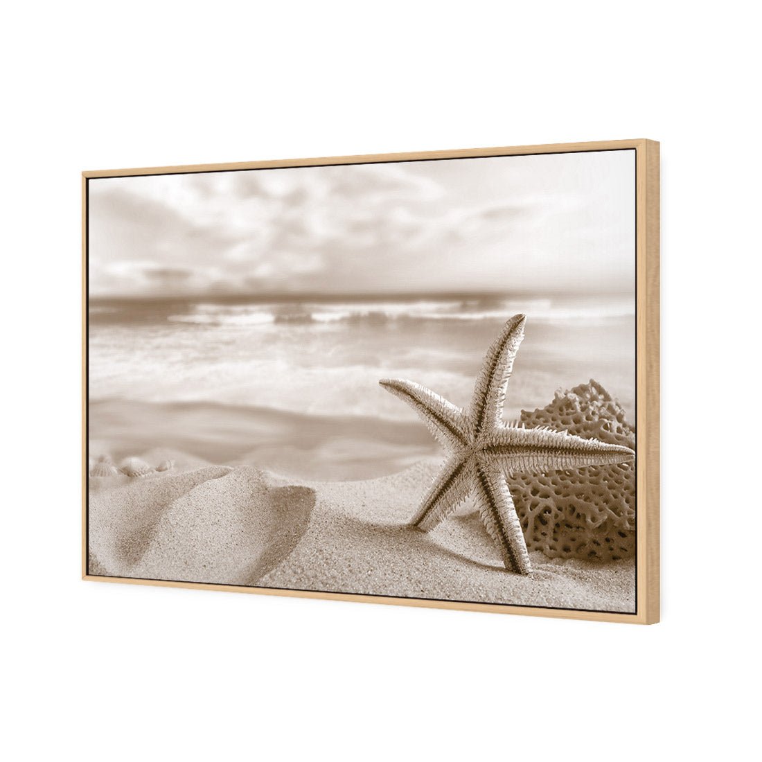 Starfish and Coral on Beach, Sepia - Wall Art Designs - 1233_CR_H WAD_CP - MPY - 260 - M - S - S_45x30_S - 1550 - OAK