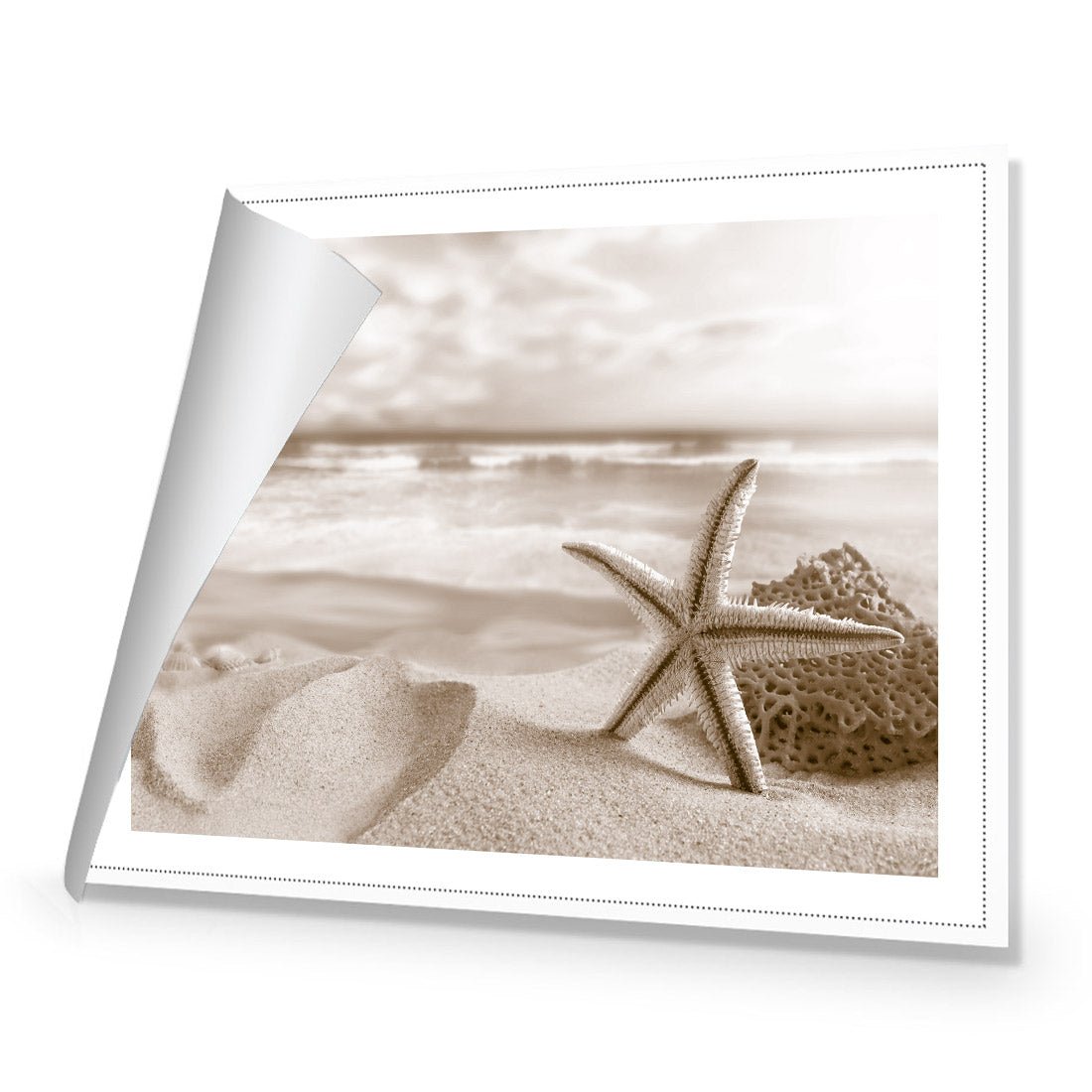 Starfish and Coral on Beach, Sepia - Wall Art Designs - 1233_CR_H WAD_CP - MPY - 260 - M - R_45x30_NONE