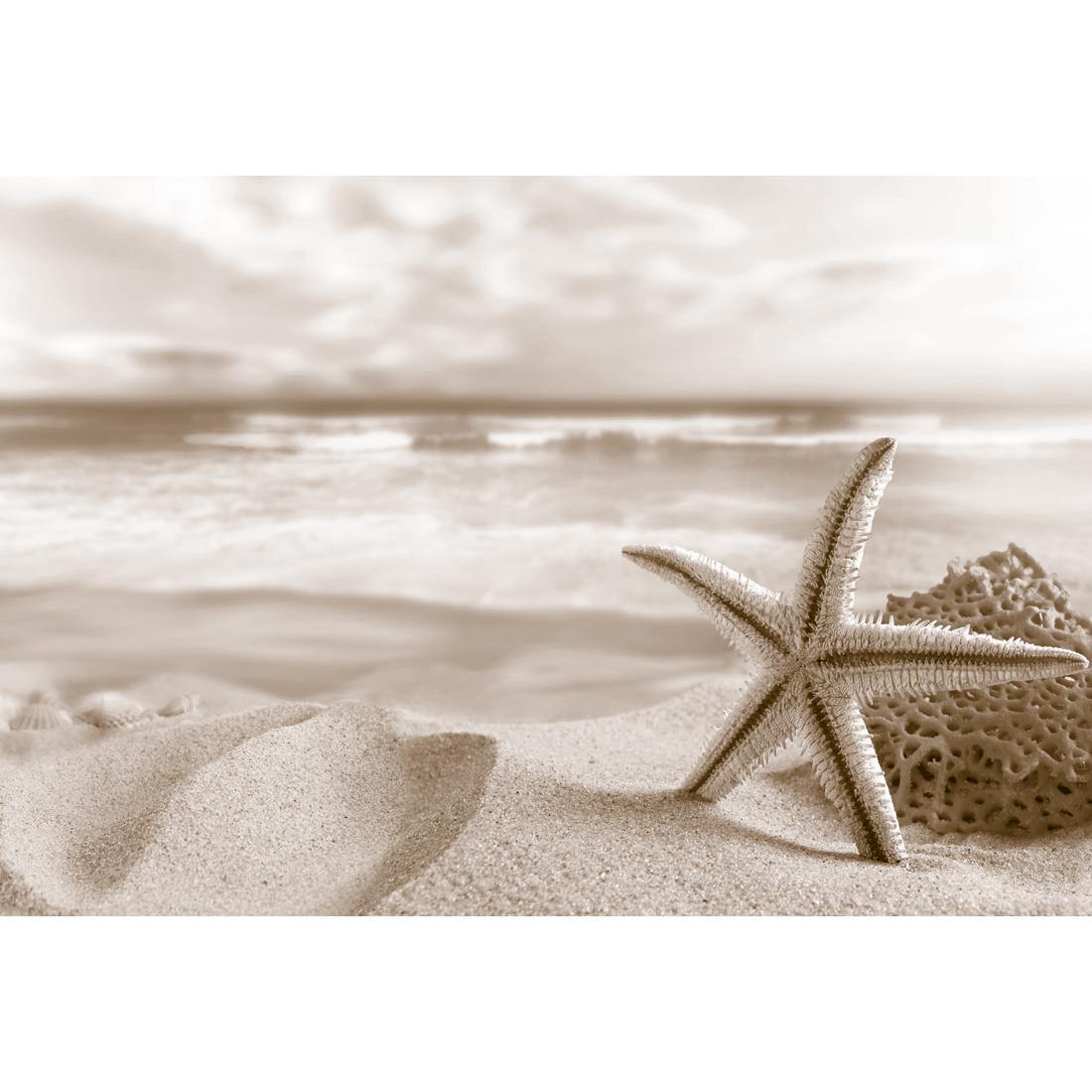 Starfish and Coral on Beach, Sepia - Wall Art Designs - 1233_CR_H WAD_CP - MPY - 260 - M - S - S_45x30_NONE