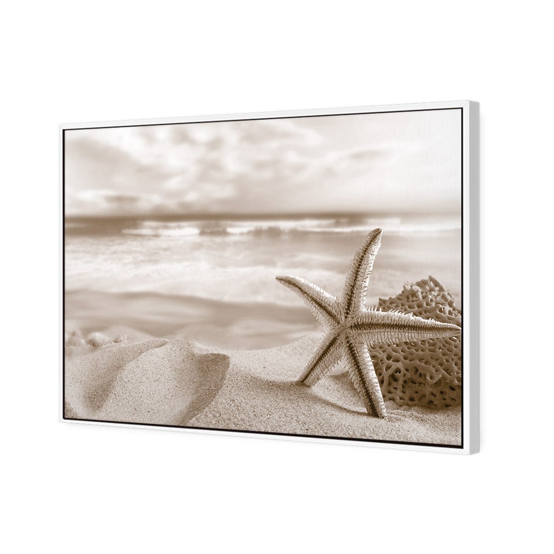 Starfish and Coral on Beach, Sepia - Wall Art Designs - 1233_CR_H WAD_CP - MPY - 260 - M - S - S_45x30_S - 1550 - WHT