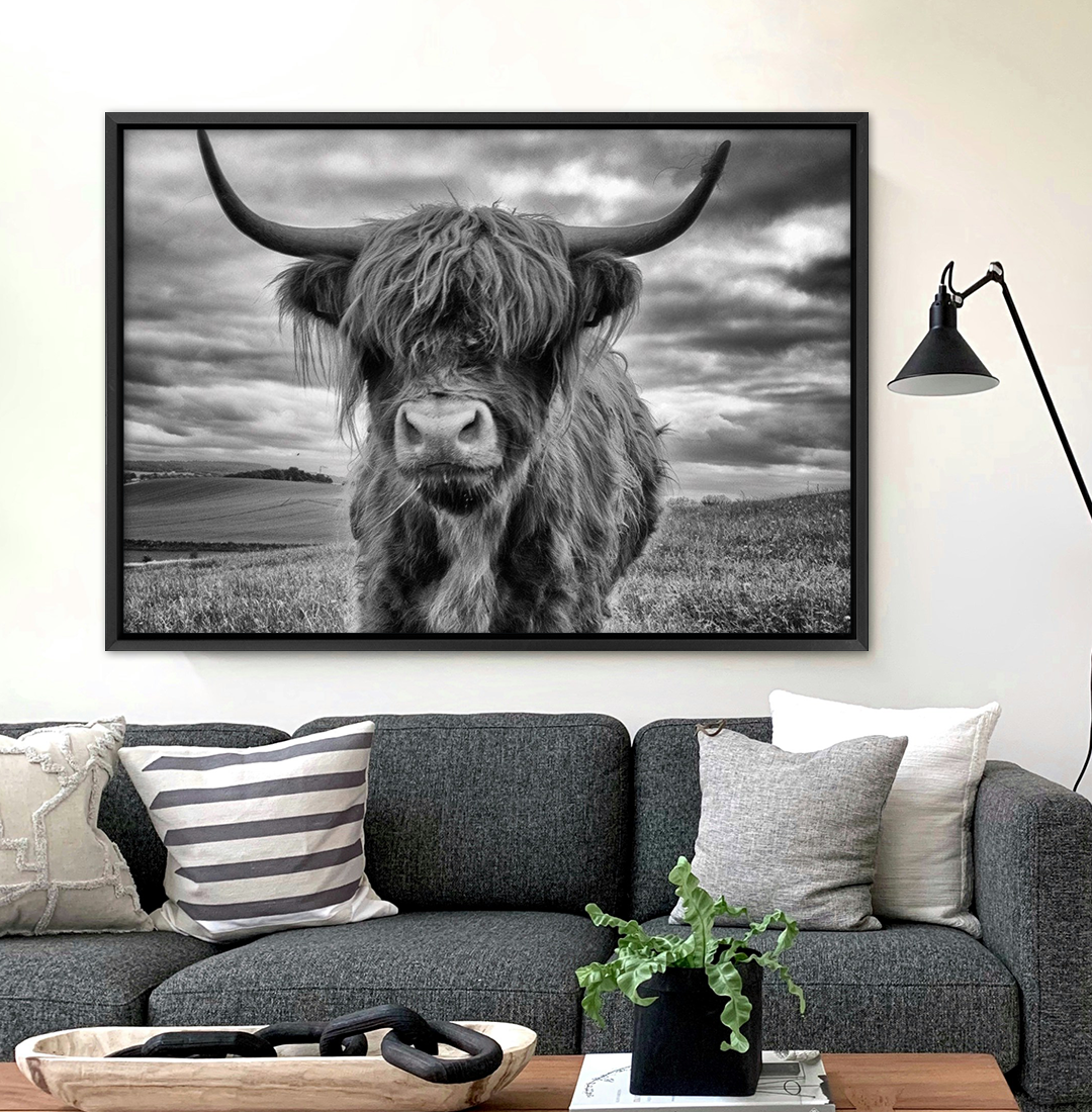 Stormy the Highland Cow Canvas Art