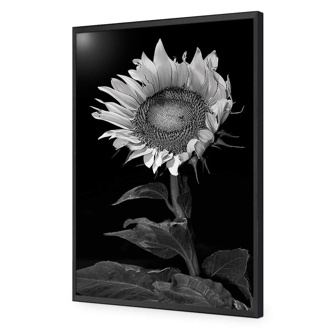 Stunning Sunflower - Wall Art Designs - 3077_AR_V WAD_CP - MPY - 260 - M - S - S_45x30_NONE