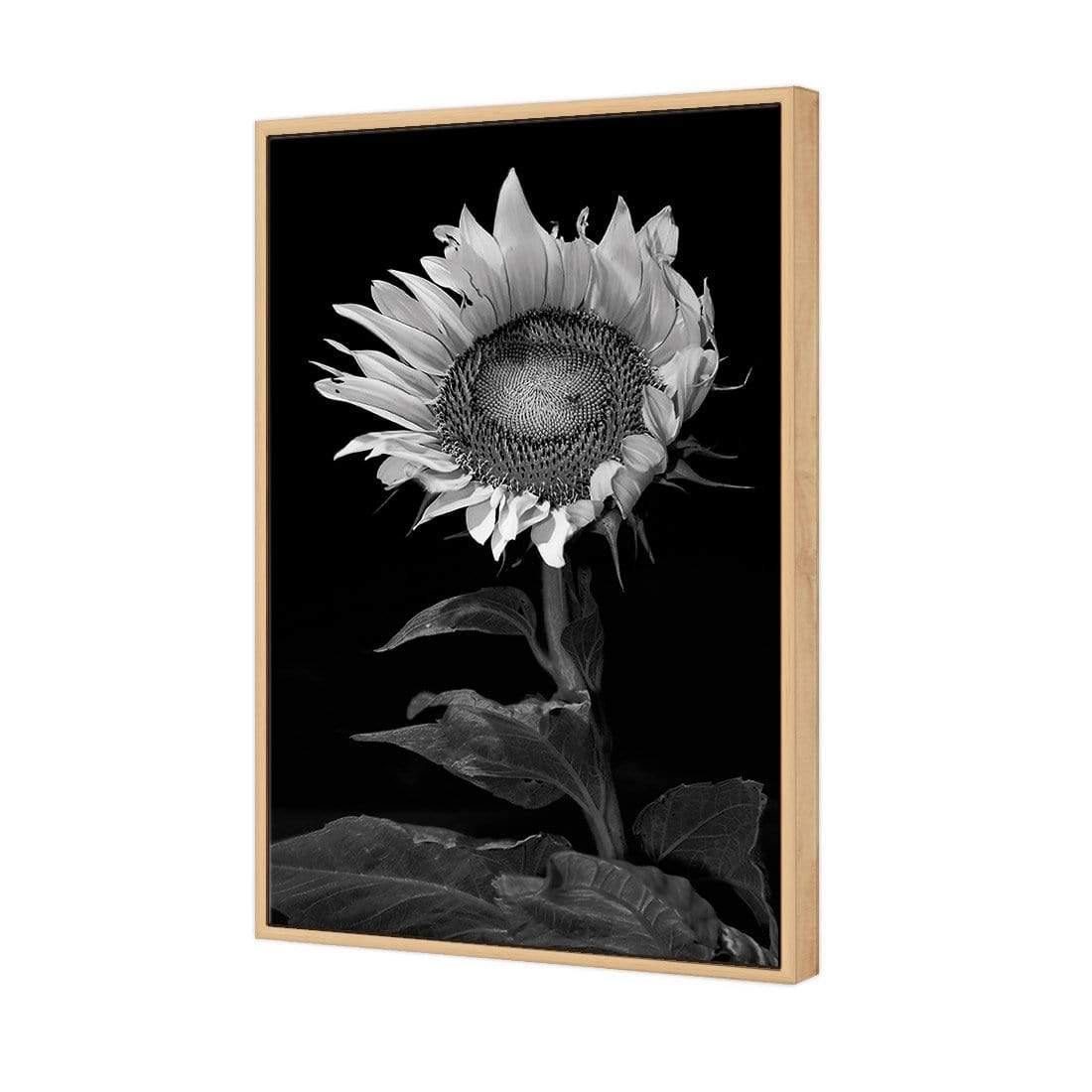 Stunning Sunflower - Wall Art Designs - 3077_AR_V WAD_CP - MPY - 260 - M - S - S_45x30_NONE