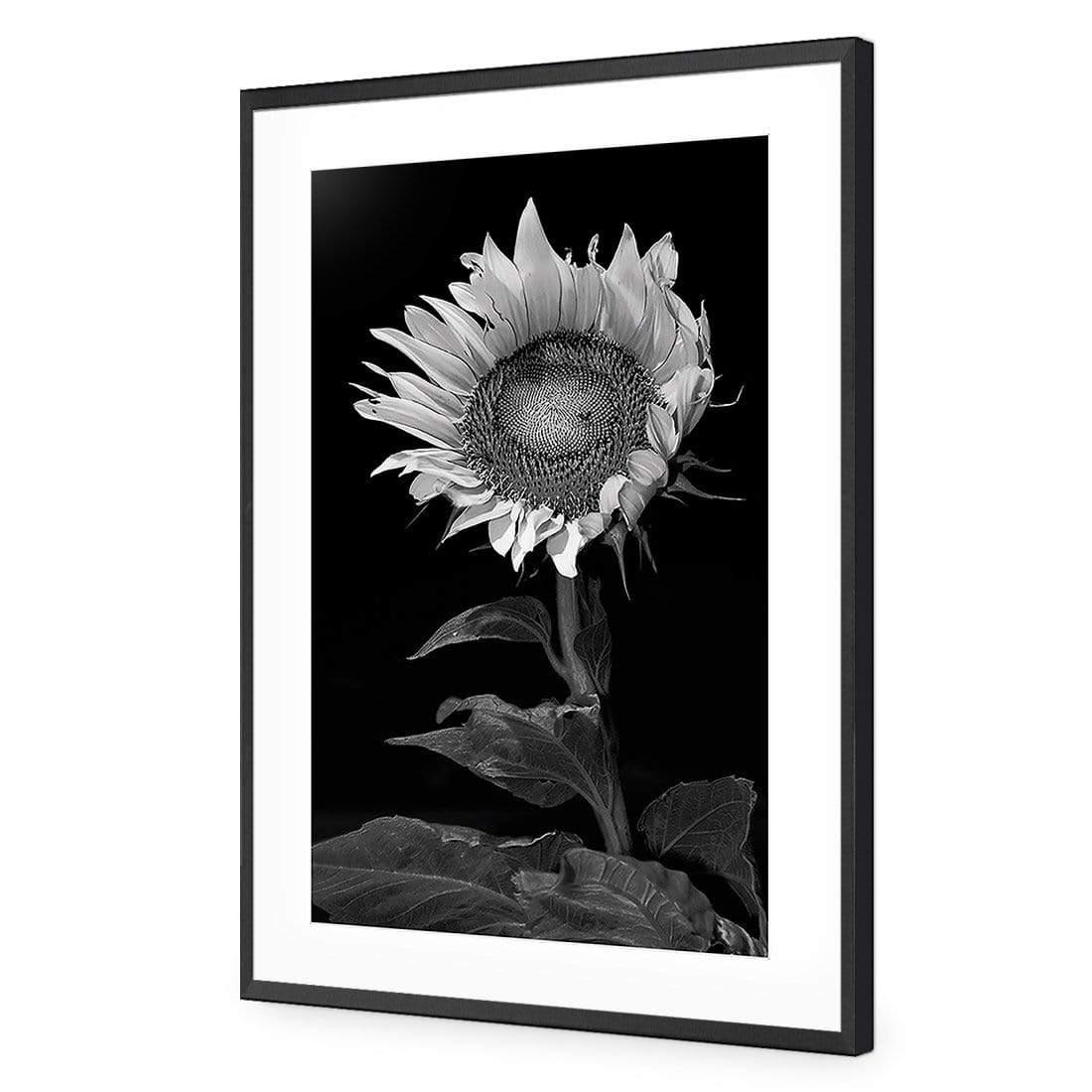 Stunning Sunflower - Wall Art Designs - 3077_AR_V WAD_CP - MPY - 260 - M - S - S_45x30_NONE